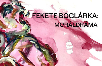 Fekete Boglárka, a Vizuális Művészeti Tanszék hallgatójának első önálló kiállítása az egyetemen.